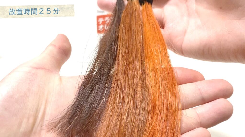 検証 ホーユー ビューティーン テラコッタオレンジを実際に使用しレビューします Hair Art