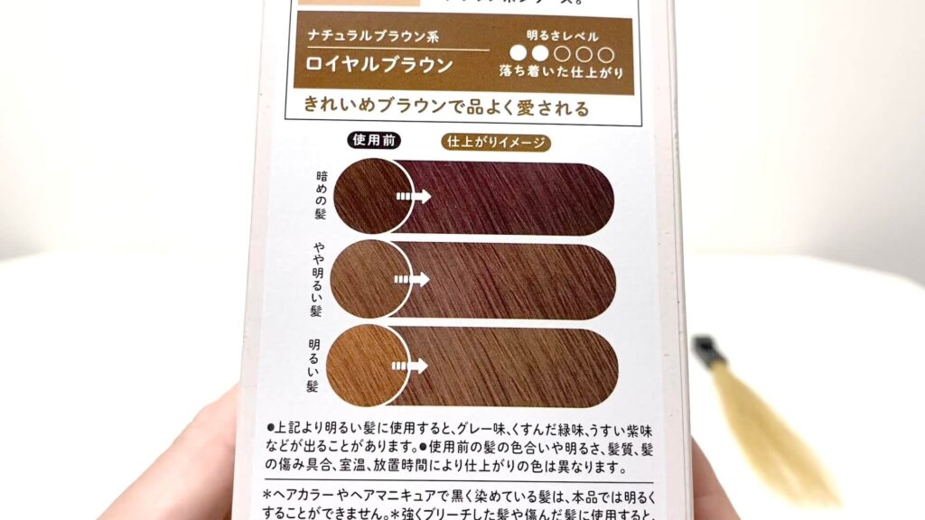 検証 リーゼ 泡カラー ロイヤルブラウンを実際に使用しレビューします Hair Art